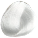 Selective Professional REVERSO 0.00 neutral 100ml